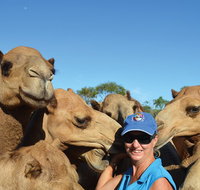 Broome Pre-sunset Camel Tour 30 minutes - Tourism Adelaide