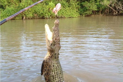 Litchfield National Park And Jumping Crocodile Cruise - Tourism Adelaide 2