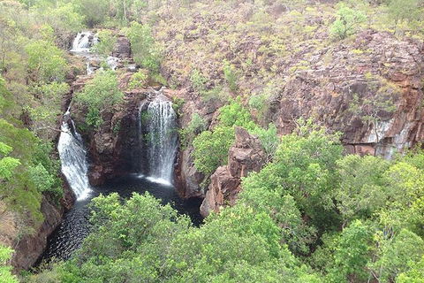 Litchfield National Park And Jumping Crocodile Cruise - Tourism Adelaide 4
