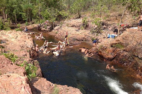 Litchfield National Park And Jumping Crocodile Cruise - Tourism Adelaide 5