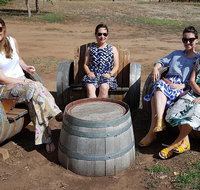 McLaren Vale Intimate Winery Tour by private Limo - Tourism Adelaide