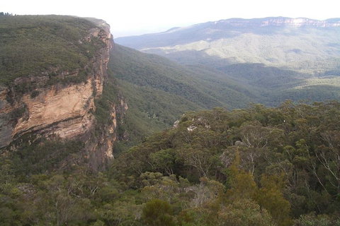 Full-Day Private Blue Mountains Tour With River Cruise - Tourism Adelaide 3