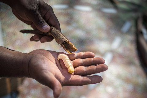 Karrke Aboriginal Cultural Experience - Tourism Adelaide 3