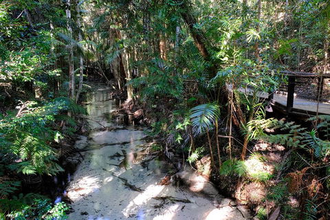 Fraser Island 4WD Tour From Rainbow Beach - Tourism Adelaide 0