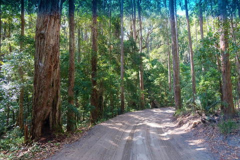 Fraser Island 4WD Tour From Rainbow Beach - Tourism Adelaide 4