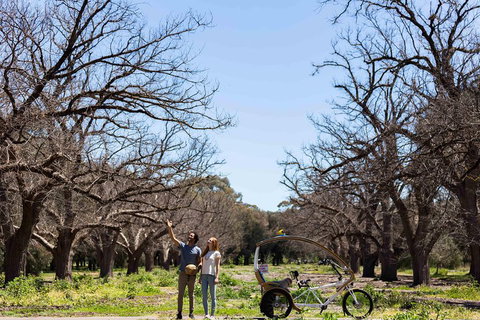 Adelaide 90-Minute Pedicab Tour: Scenic Green & River Experience - Tourism Adelaide 1