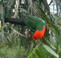 3-Day Private Adelaide to Melbourne tour - Tourism Adelaide