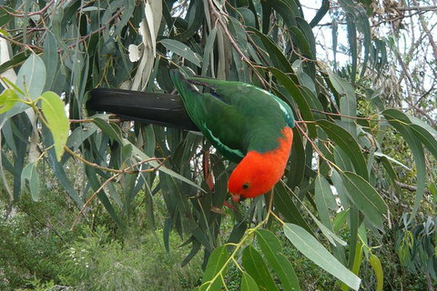 3-Day Private Adelaide To Melbourne Tour - Tourism Adelaide 0