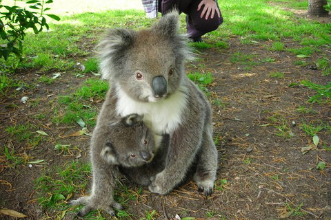 3-Day Private Adelaide To Melbourne Tour - Tourism Adelaide 5