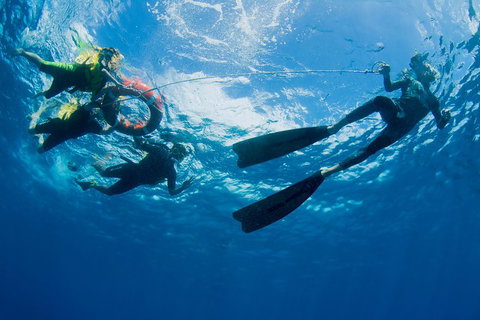 Passions Of Paradise Great Barrier Reef Snorkel And Dive Cruise From Cairns By Luxury Catamaran - Tourism Adelaide 2