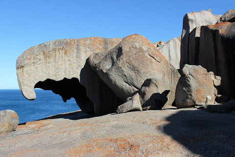 Kangaroo Island Personal Group Tours - Tourism Adelaide 2