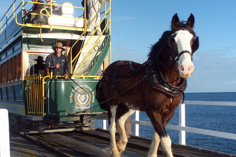Full-Day Tour In South Australia Highlights - Tourism Adelaide 1