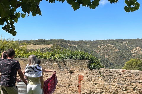 Private Mclaren Vale Wine Tour - Tourism Adelaide 2