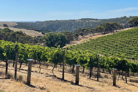 Private Mclaren Vale Wine Tour - Tourism Adelaide 3