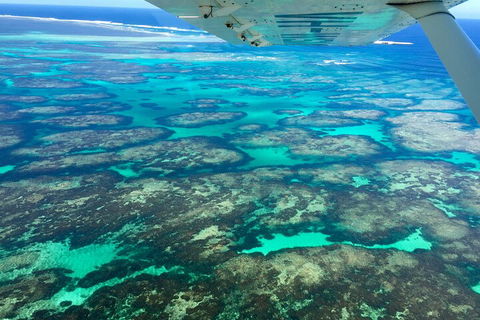 Shipwreck Special Full Day Tour Of The Abrolhos Islands - Tourism Adelaide 1