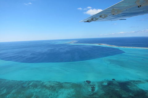 Shipwreck Special Full Day Tour Of The Abrolhos Islands - Tourism Adelaide 2
