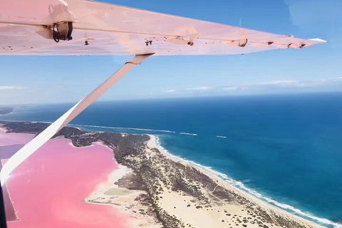 Kalbarri, Pink Lake And Abrolhos Islands Nature Tour - Tourism Adelaide 4