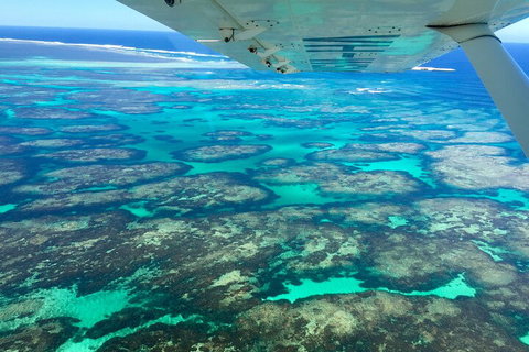 Kalbarri, Pink Lake And Abrolhos Islands Nature Tour - Tourism Adelaide 5