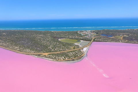 Pink Lake + Abrolhos Islands Nature Tour - Tourism Adelaide 4