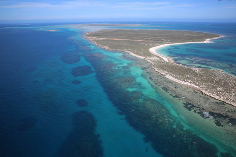 Pink Lake + Abrolhos Islands Scenic Flight - Tourism Adelaide 0