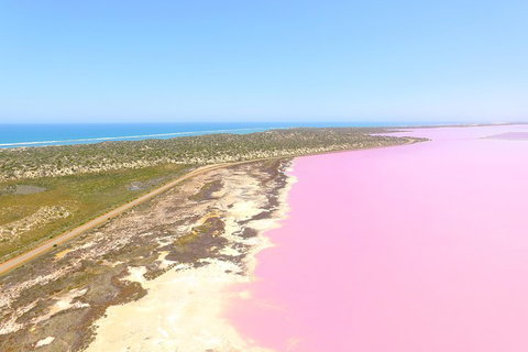 Pink Lake + Abrolhos Islands Scenic Flight - Tourism Adelaide 4