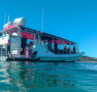 Best of Moreton Bay Cruise - Tourism Adelaide