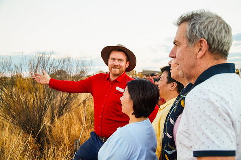 Uluru (Ayers Rock) Sunset With Outback Barbecue Dinner And Star Tour - Tourism Adelaide 3