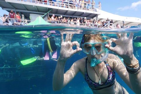 Great Barrier Reef Day Cruise From Cairns Including Snorkeling And Marine Biologist Presentation - Tourism Adelaide 0