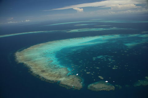 Great Barrier Reef Day Cruise From Cairns Including Snorkeling And Marine Biologist Presentation - Tourism Adelaide 1