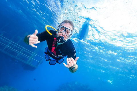 Great Barrier Reef Day Cruise From Cairns Including Snorkeling And Marine Biologist Presentation - Tourism Adelaide 3
