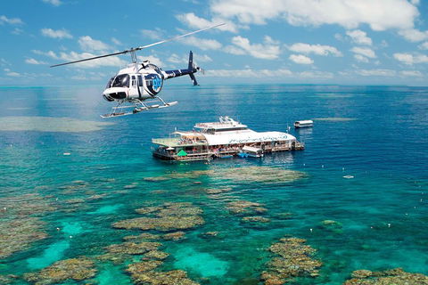 Great Barrier Reef Day Cruise From Cairns Including Snorkeling And Marine Biologist Presentation - Tourism Adelaide 5