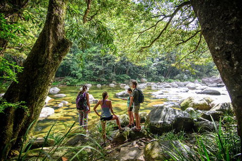 Private Daintree Mossman Gorge Exclusive Nature And Wildlife Focus - Tourism Adelaide 5