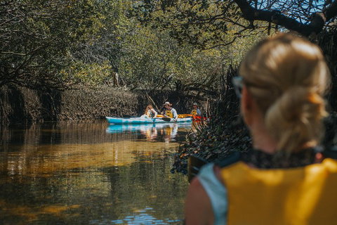 Kayak Tour In Adelaide Dolphin Sanctuary - Tourism Adelaide 0