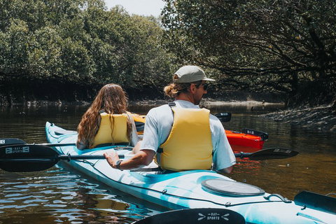 Kayak Tour In Adelaide Dolphin Sanctuary - Tourism Adelaide 2