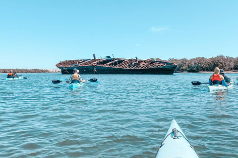 Kayak Tour In Adelaide Dolphin Sanctuary - Tourism Adelaide 3