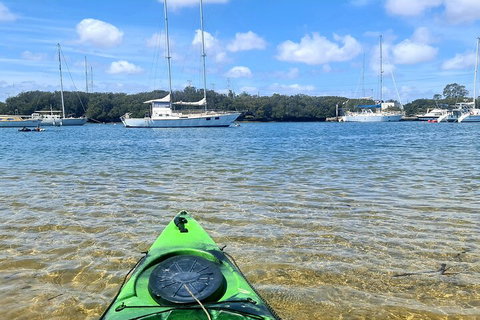 Kayak Tour In Adelaide Dolphin Sanctuary - Tourism Adelaide 4
