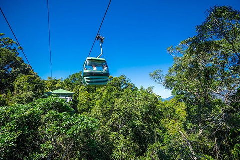 Skyrail Rainforest Cableway Day Trip From Cairns - Tourism Adelaide 1