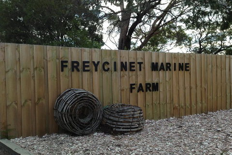 Active Day Tour One-Way From Launceston To Hobart Via Wineglass Bay - Tourism Adelaide 3