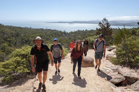 3-Day Tasmania Combo: Launceston To Hobart Active Tour Including Cradle Mountain, Freycinet National Park And Port Arthur - Tourism Adelaide 5