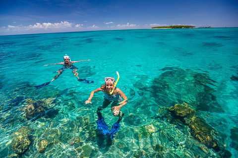 Green Island Discovery Including Glass Bottom Boat Tour Departing Cairns - Tourism Adelaide 2