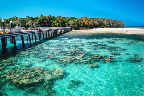 Green Island Discovery Including Glass Bottom Boat Tour Departing Cairns - Tourism Adelaide 4