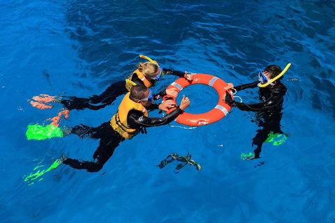 Great Barrier Reef Adventure From Cairns - Tourism Adelaide 3