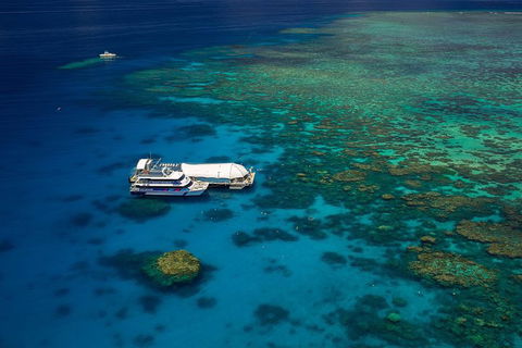 Great Barrier Reef Adventure From Cairns - Tourism Adelaide 4