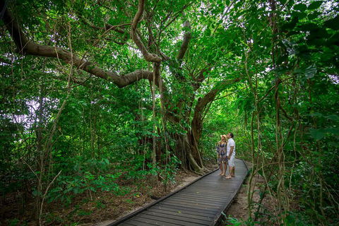 Green Island Eco Adventure From Cairns - Tourism Adelaide 0