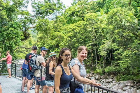 Cape Tribulation, Mossman Gorge, And Daintree Rainforest Day Trip From Cairns Or Port Douglas - Tourism Adelaide 0