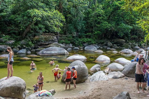 Cape Tribulation, Mossman Gorge, And Daintree Rainforest Day Trip From Cairns Or Port Douglas - Tourism Adelaide 1