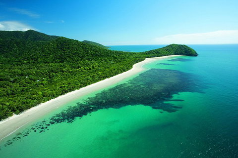 Cape Tribulation, Mossman Gorge, And Daintree Rainforest Day Trip From Cairns Or Port Douglas - Tourism Adelaide 2