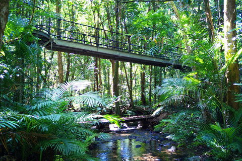 Cape Tribulation, Mossman Gorge, And Daintree Rainforest Day Trip From Cairns Or Port Douglas - Tourism Adelaide 3