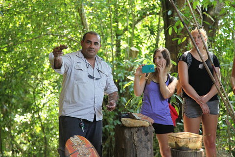 Cape Tribulation, Mossman Gorge, And Daintree Rainforest Day Trip From Cairns Or Port Douglas - Tourism Adelaide 4