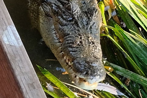 Litchfield Park Adventures And Jumping Crocodile Cruise + Butterfly Farm - Tourism Adelaide 1